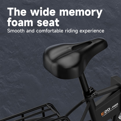 Ruitoo E20PRO Folding Electric Bike